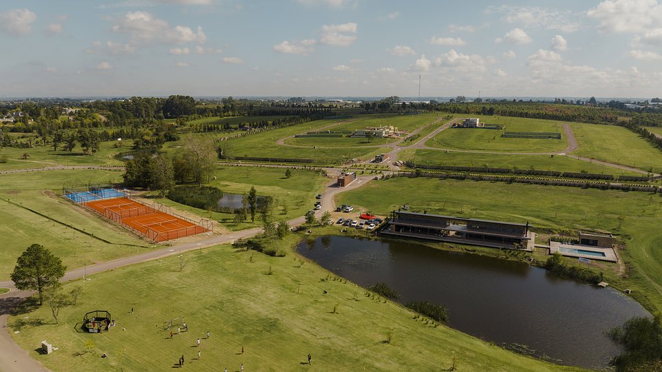 Olivos de los Horneros