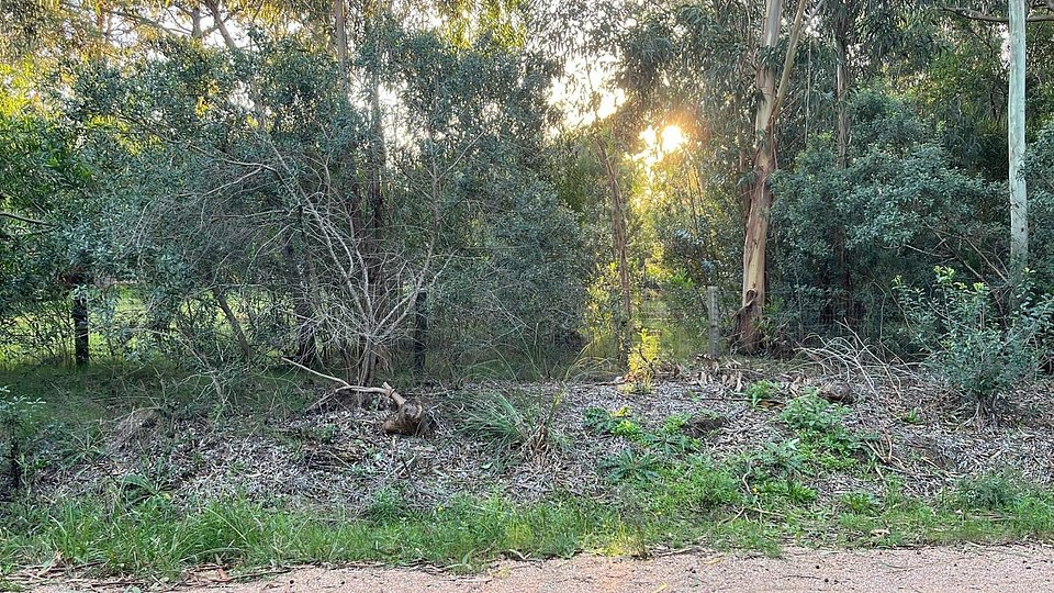 Terreno en Punta Negra!